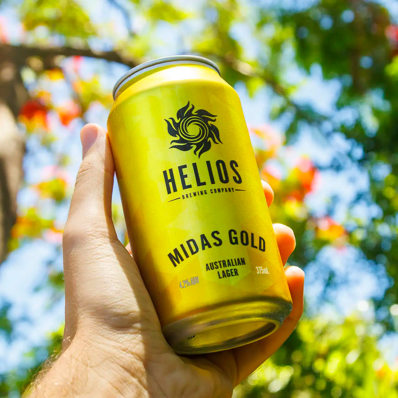 helios brewing midas australian lager
