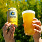 Pegasus Hazy Pale